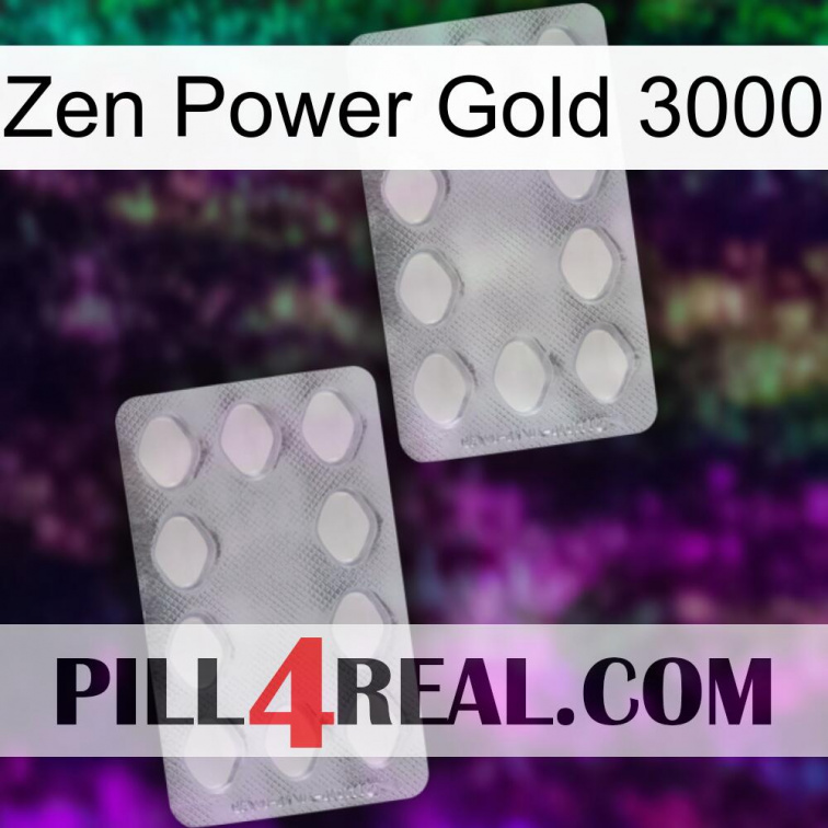 Zen Power Gold 3000 17